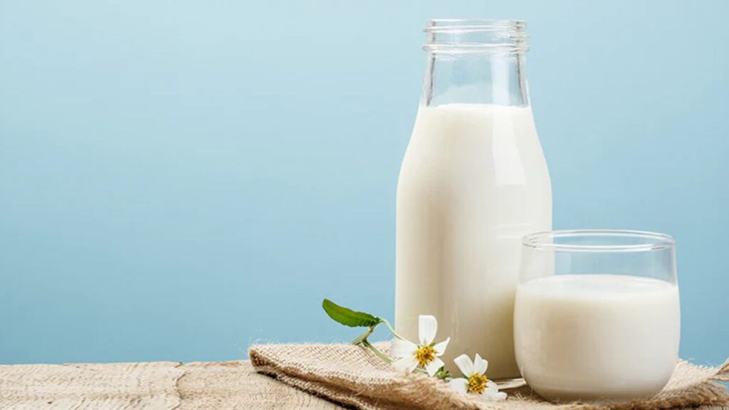 10 Best Foods You Should Eat Post Workout