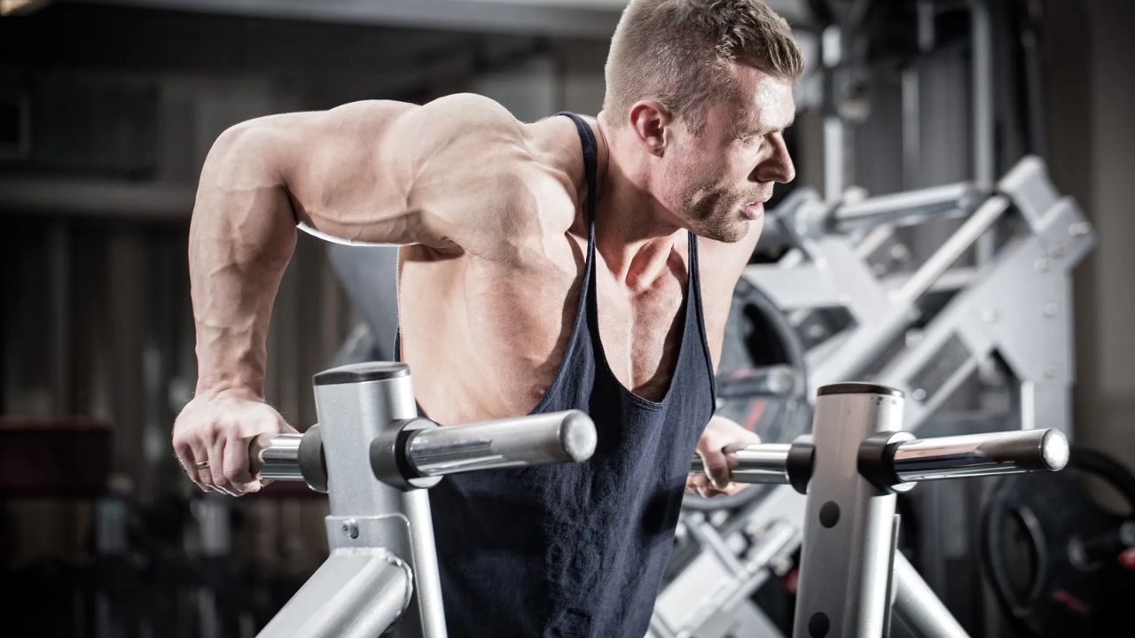 lower chest workout