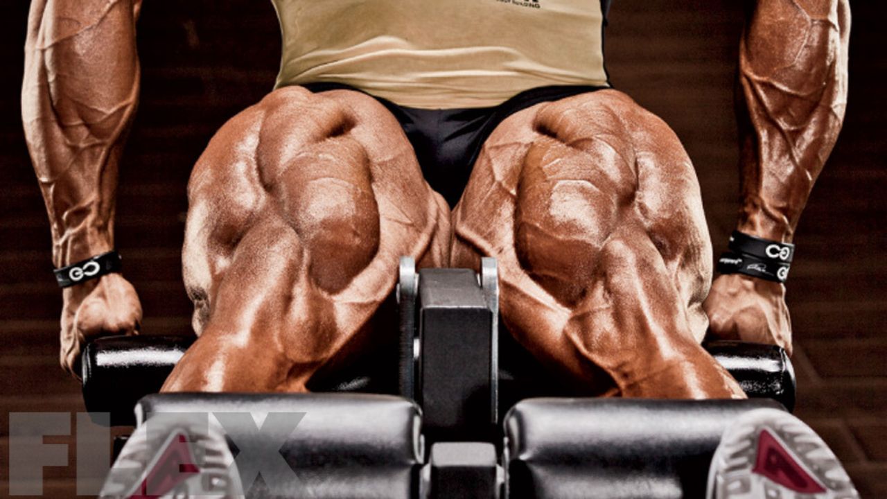 leg workouts at the gym