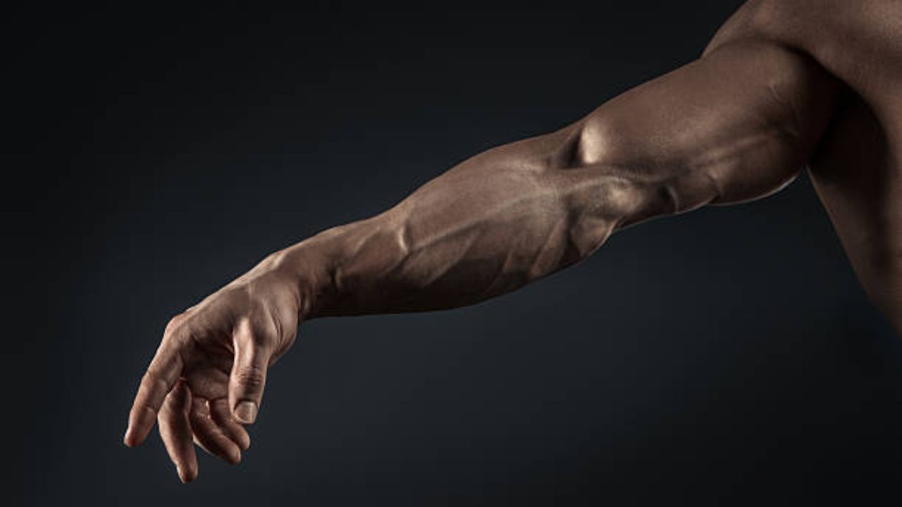 forearm workout with dumbbells