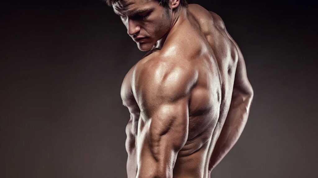tricep workouts with dumbbells