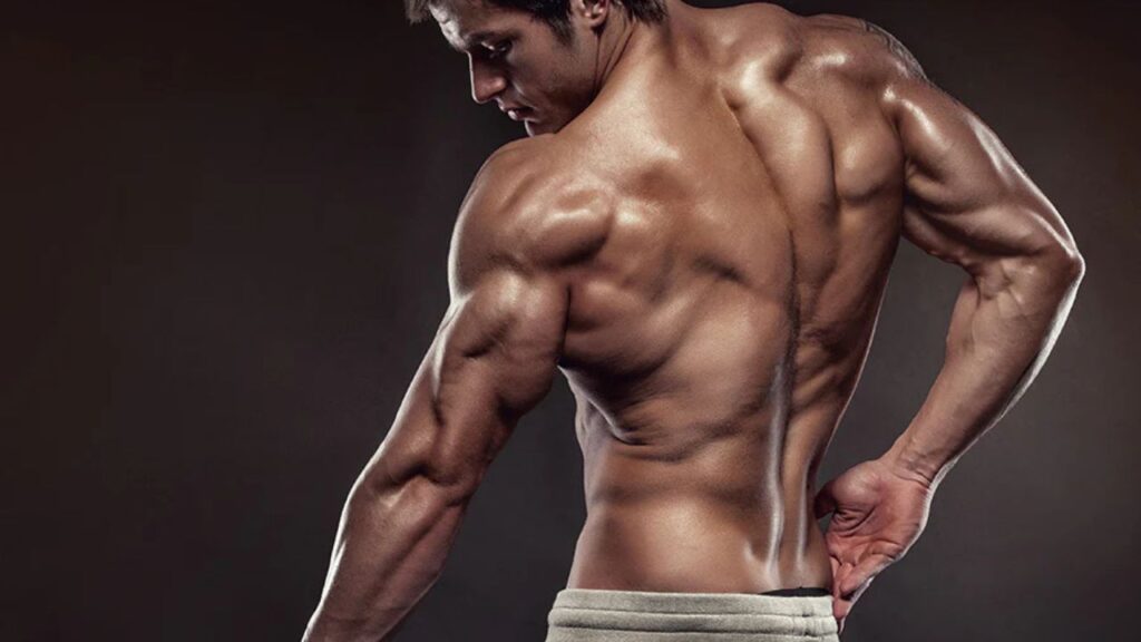 tricep workouts with dumbbells