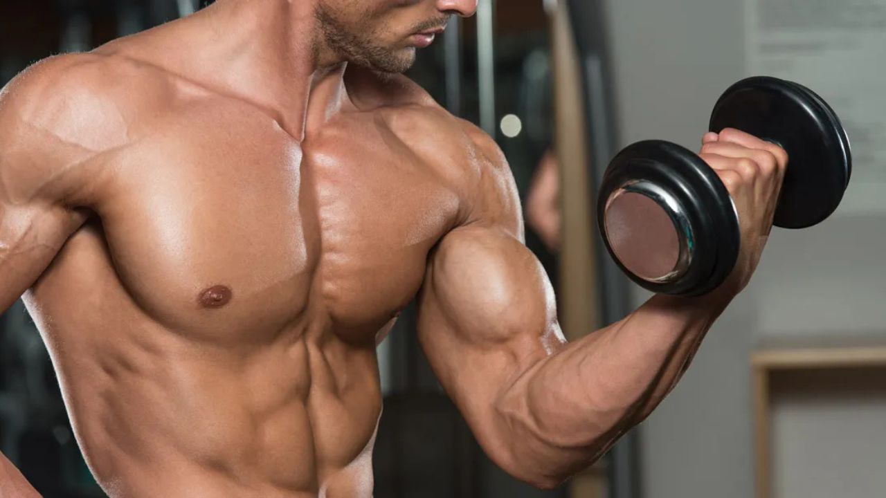 bicep workout with dumbbells