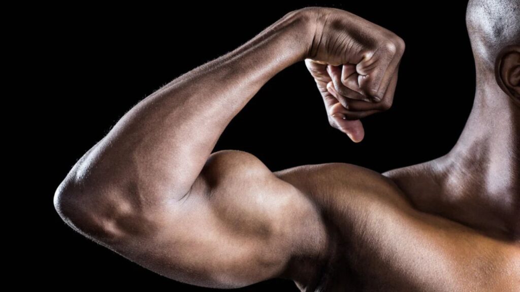 bicep workout with dumbbells