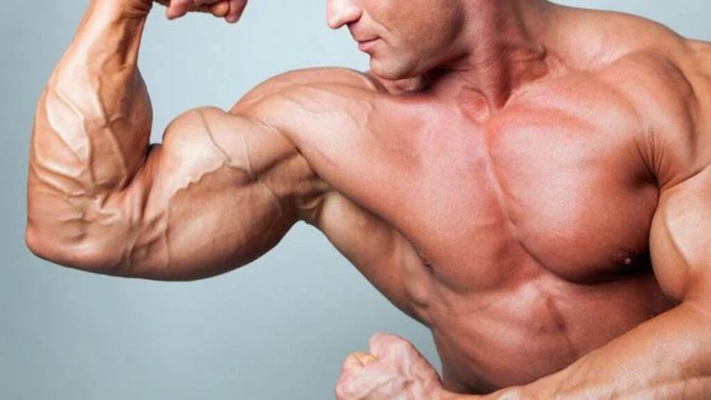 bicep workout with dumbbells