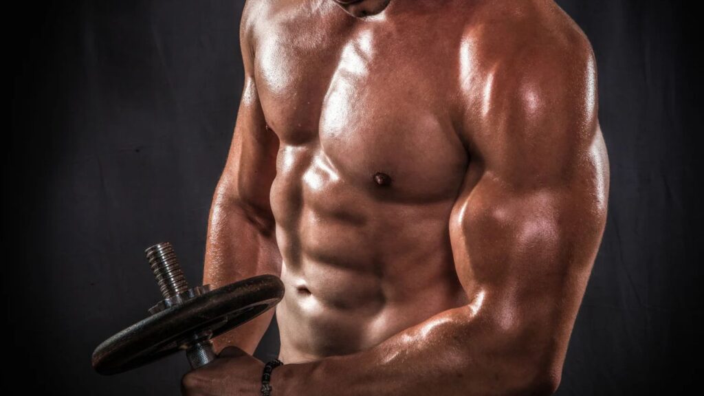 bicep workout with dumbbells