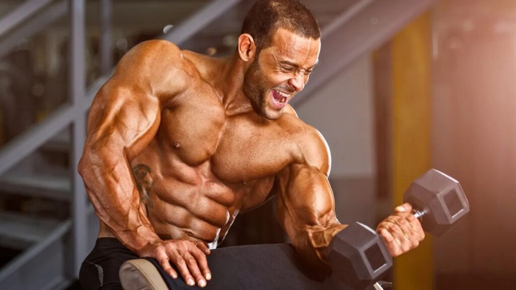 bicep workout with dumbbells