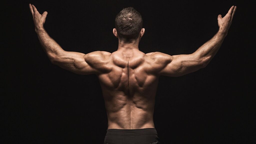 back workout at home