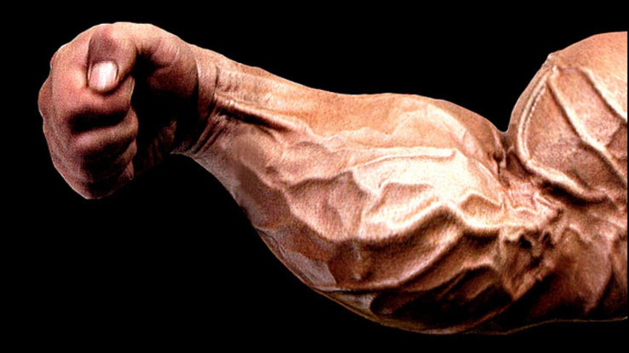 forearm exercise