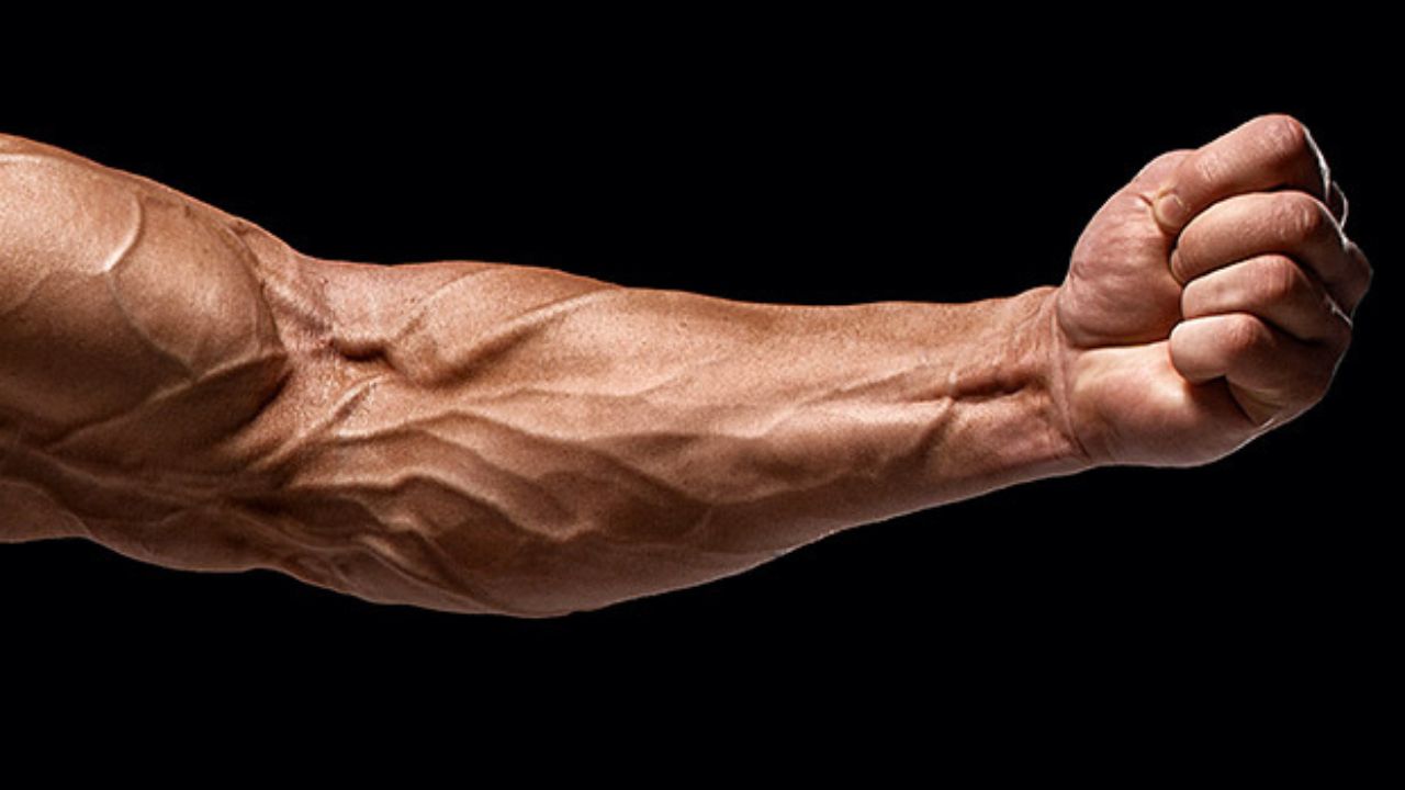 forearm workout at home