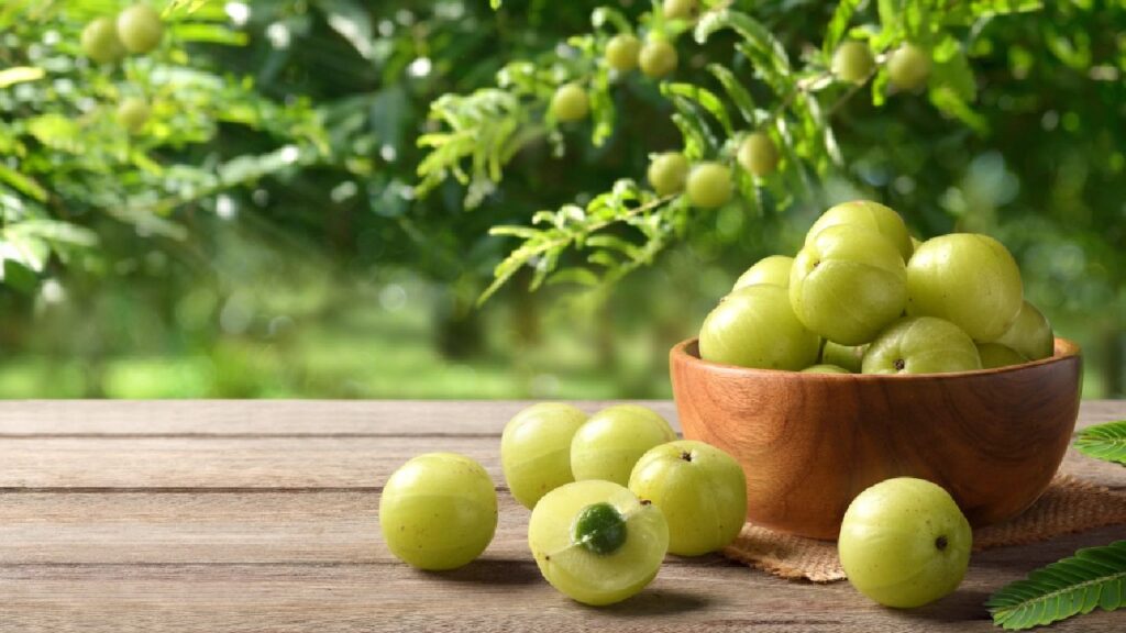 amla benefits