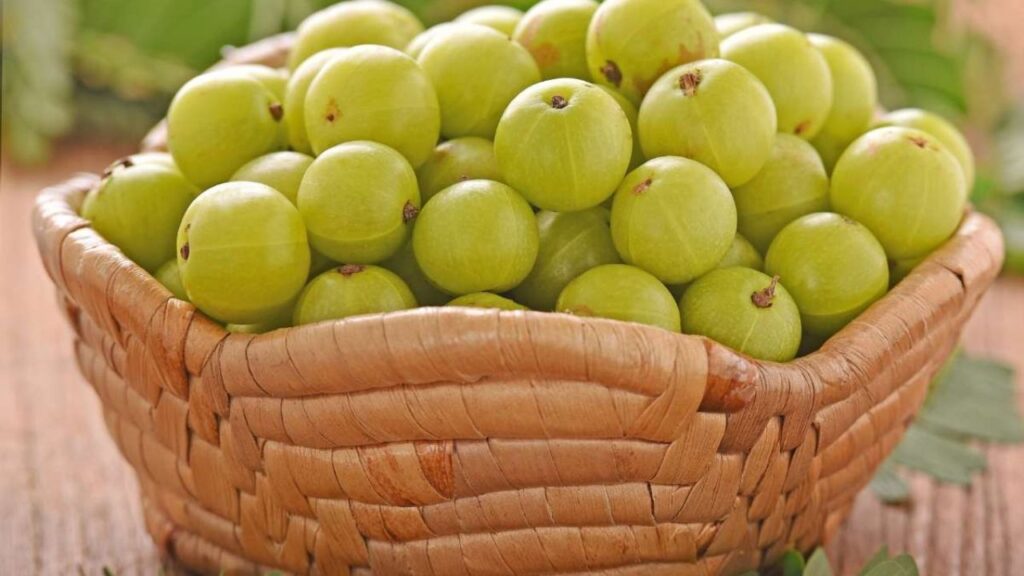 amla benefits