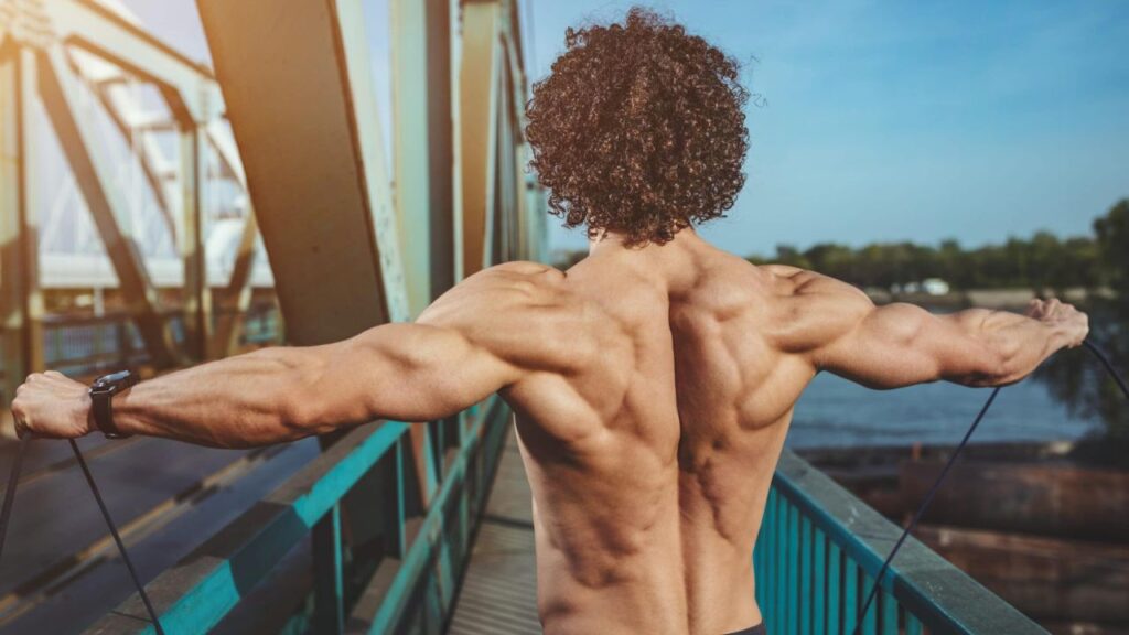 back workout at home