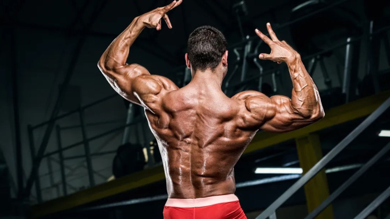back workout at home